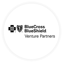 Blue Cross Blue Shield