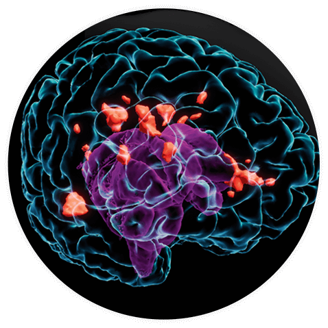 Brain Graphic